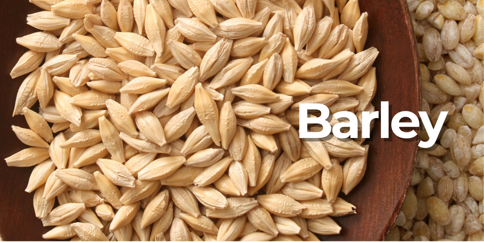 White Rice Alternatives for Diabetics NewAnt Medical